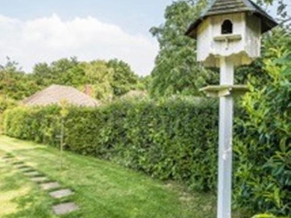 Knole B&B Sevenoaks Extérieur photo